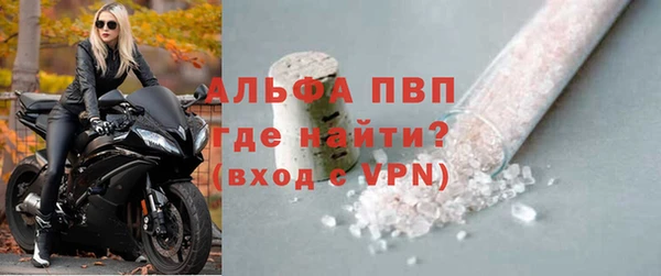 индика Волоколамск