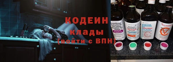 индика Волоколамск