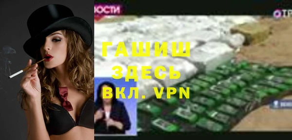 индика Волоколамск