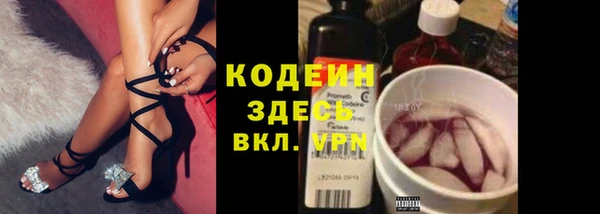 индика Волоколамск