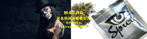 индика Волоколамск