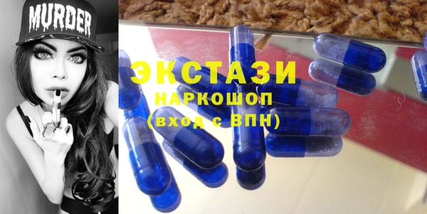 индика Волоколамск