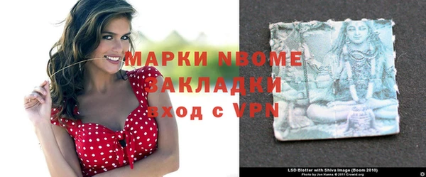 индика Волоколамск