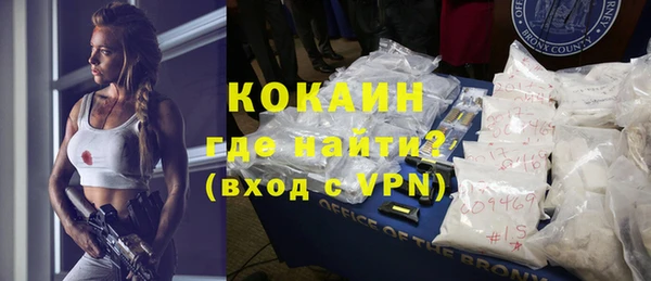 индика Волоколамск