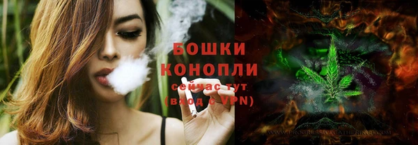 индика Волоколамск